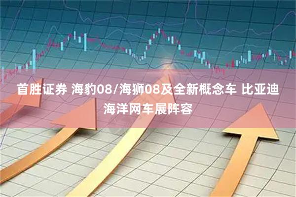 首胜证券 海豹08/海狮08及全新概念车 比亚迪海洋网车展阵容