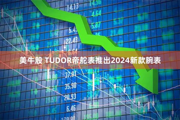 美牛股 TUDOR帝舵表推出2024新款腕表